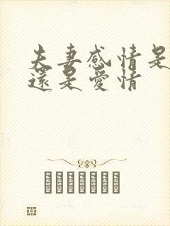 夫妻感情是亲情还是爱情