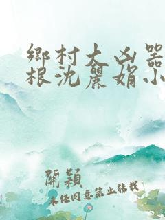 乡村大凶器龙傻根沈丽娟小说