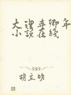 大理寺卿年纪 小说在线