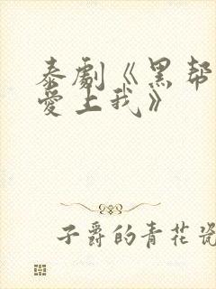 泰剧《黑帮少爷爱上我》