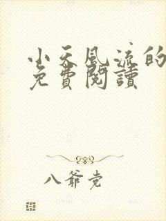 小天风流的小说免费阅读