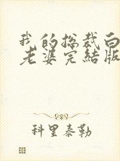 我的总裁白富美老婆完结版