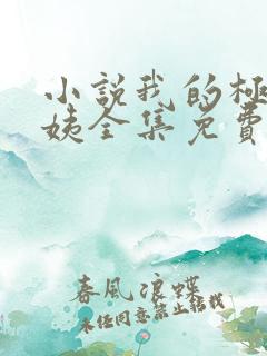 小说我的极品小姨全集免费