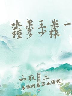 水果玉米一亩地种多少株