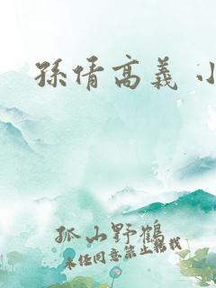 孙倩高义 小说