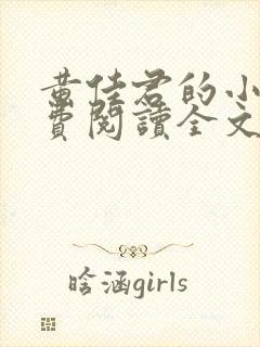 黄佳君的小说免费阅读全文