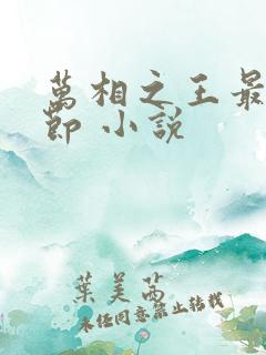 万相之王最新章节 小说