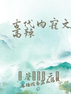 古代肉宠文h 高辣
