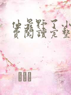 他最野了小说免费阅读完整