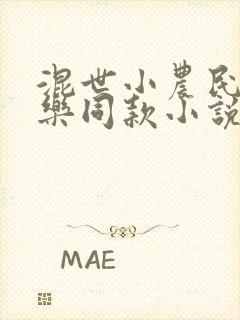 混世小农民马小乐同款小说