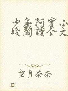 少年阿宾小说在线阅读全文