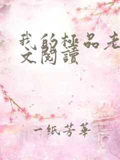 我的极品老婆全文阅读