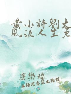 黄小诗刘大爷的风流人生免费阅读