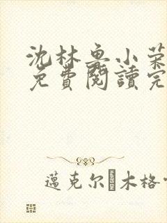 沈林鲁小荣小说免费阅读完整版