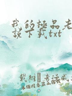 我的极品老婆小说下载txt