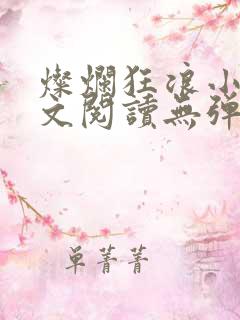 灿烂狂浪小说全文阅读无弹窗
