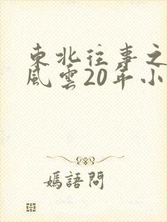 东北往事之黑道风云20年小说在线阅读