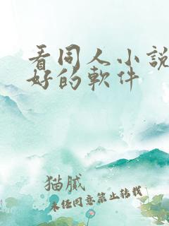 看同人小说比较好的软件