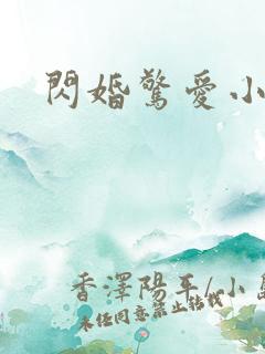 闪婚惊爱小说