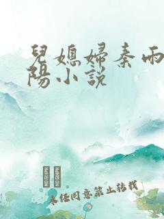 儿媳妇秦雨 罗阳小说