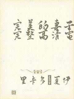 完美的妻子免费完整高清电视剧在线看