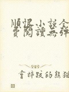 顺恨小说全文免费阅读无弹窗