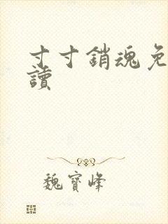 寸寸销魂免费阅读