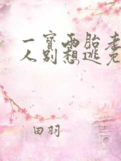 一宝两胎老婆大人别想逃免费阅读