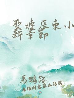 圣墟辰东小说最新章节