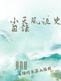 小天风流史全文目录
