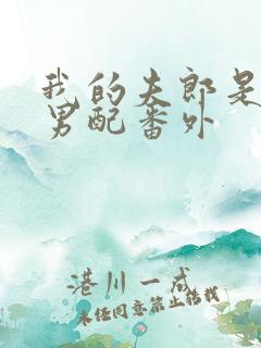 我的夫郎是恶毒男配番外