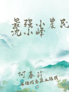最强小农民小说沈小峰