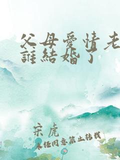 父母爱情老丁和谁结婚了