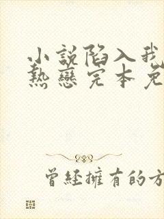 小说陷入我们的热恋完本免费阅读