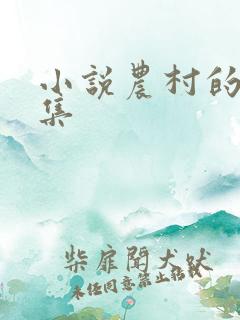 小说农村的妞续集