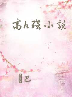 高h强小说