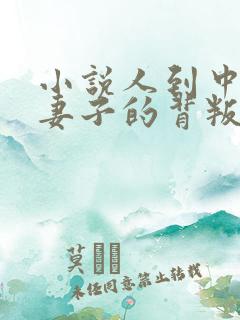 小说人到中年:妻子的背叛免费阅读全本