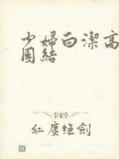 少妇白洁高义大团结