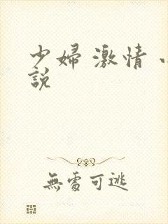 少妇 激情 小说