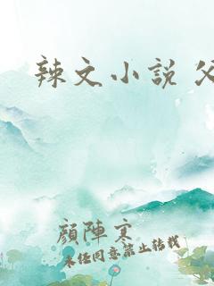 辣文小说 父女