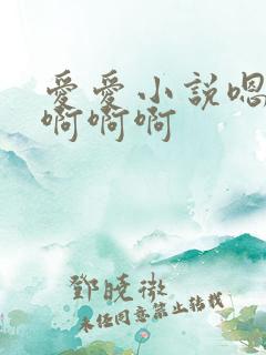 爱爱小说嗯嗯啊啊啊啊