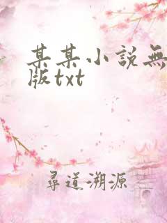某某小说无删减版txt