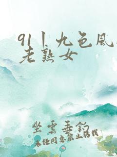 91丨九色风韵老熟女