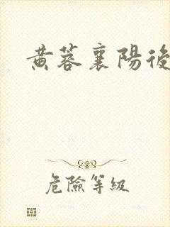 黄蓉襄阳后