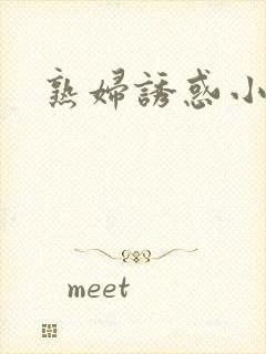 熟妇诱惑小说