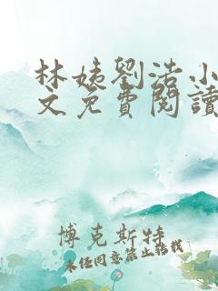 林姨刘浩小说全文免费阅读