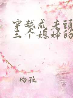 穿越成老头娶了三个媳妇的小说