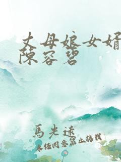 丈母娘女婿小说陈容碧