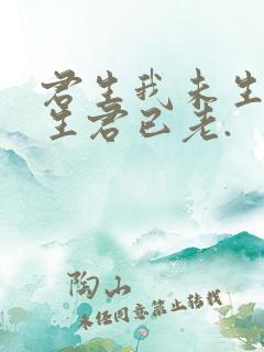 君生我未生,我生君已老.