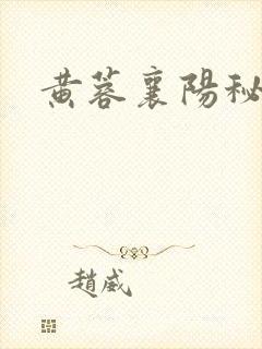 黄蓉襄阳秘史续